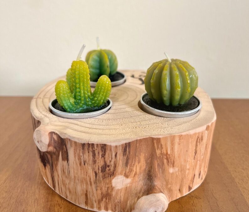Candela Cactus